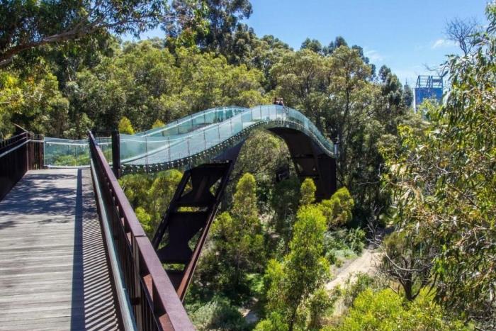 Kings Park - Screenwest