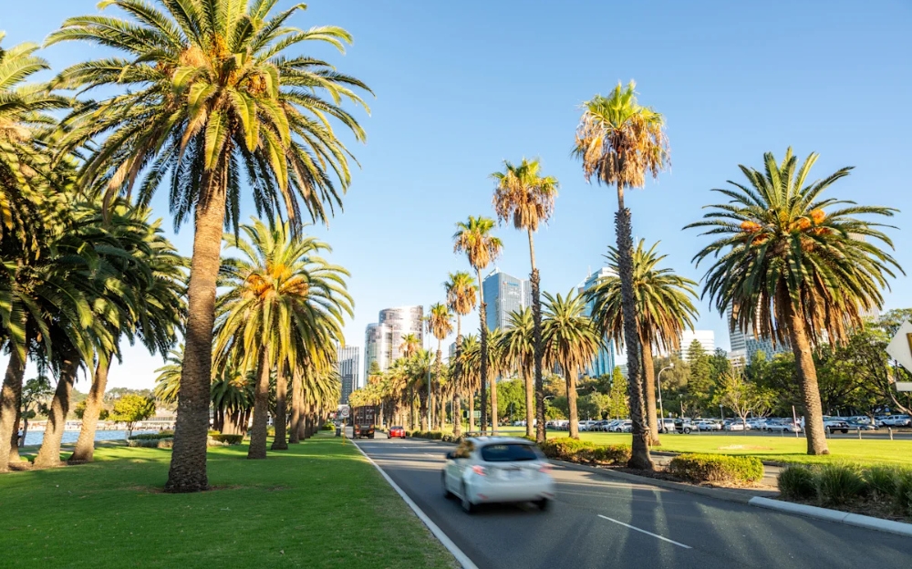 Langley Park - Kieran Stone Getty Images