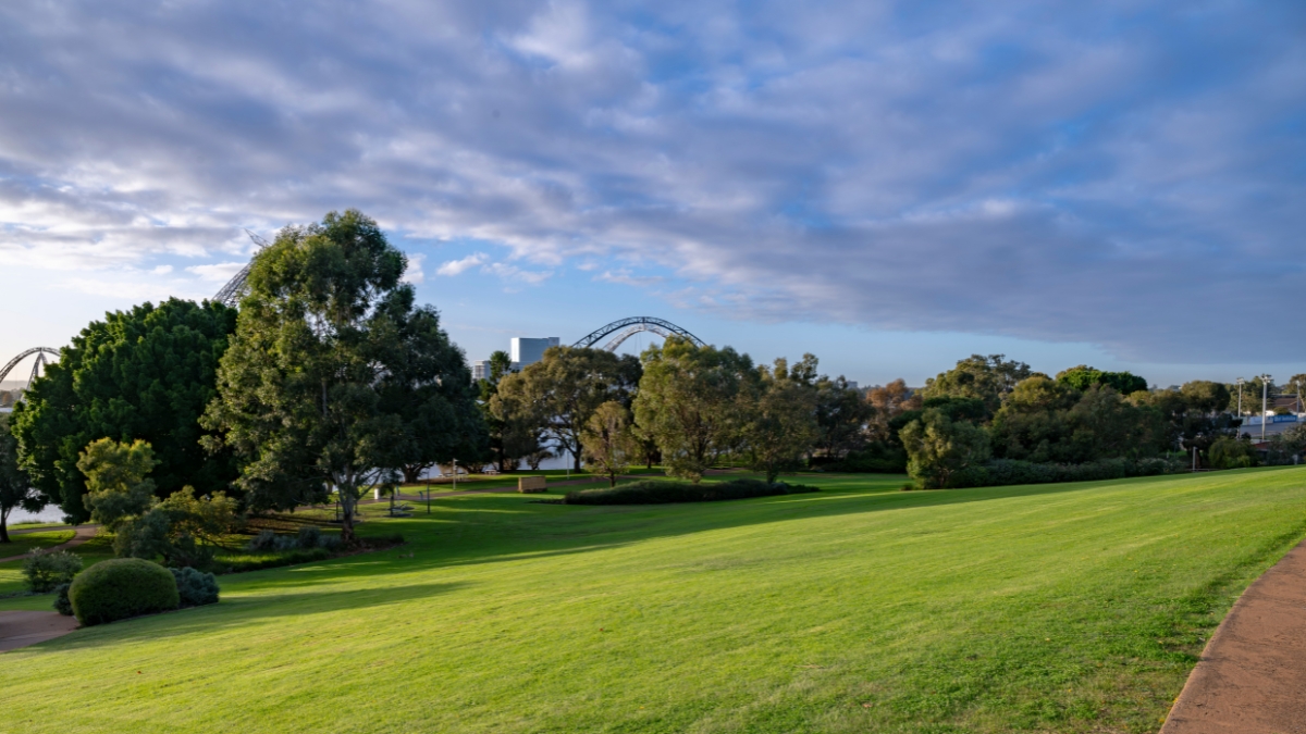 Arden Street Reserve