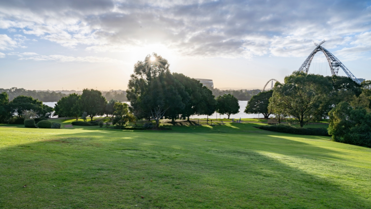 Arden Street Reserve