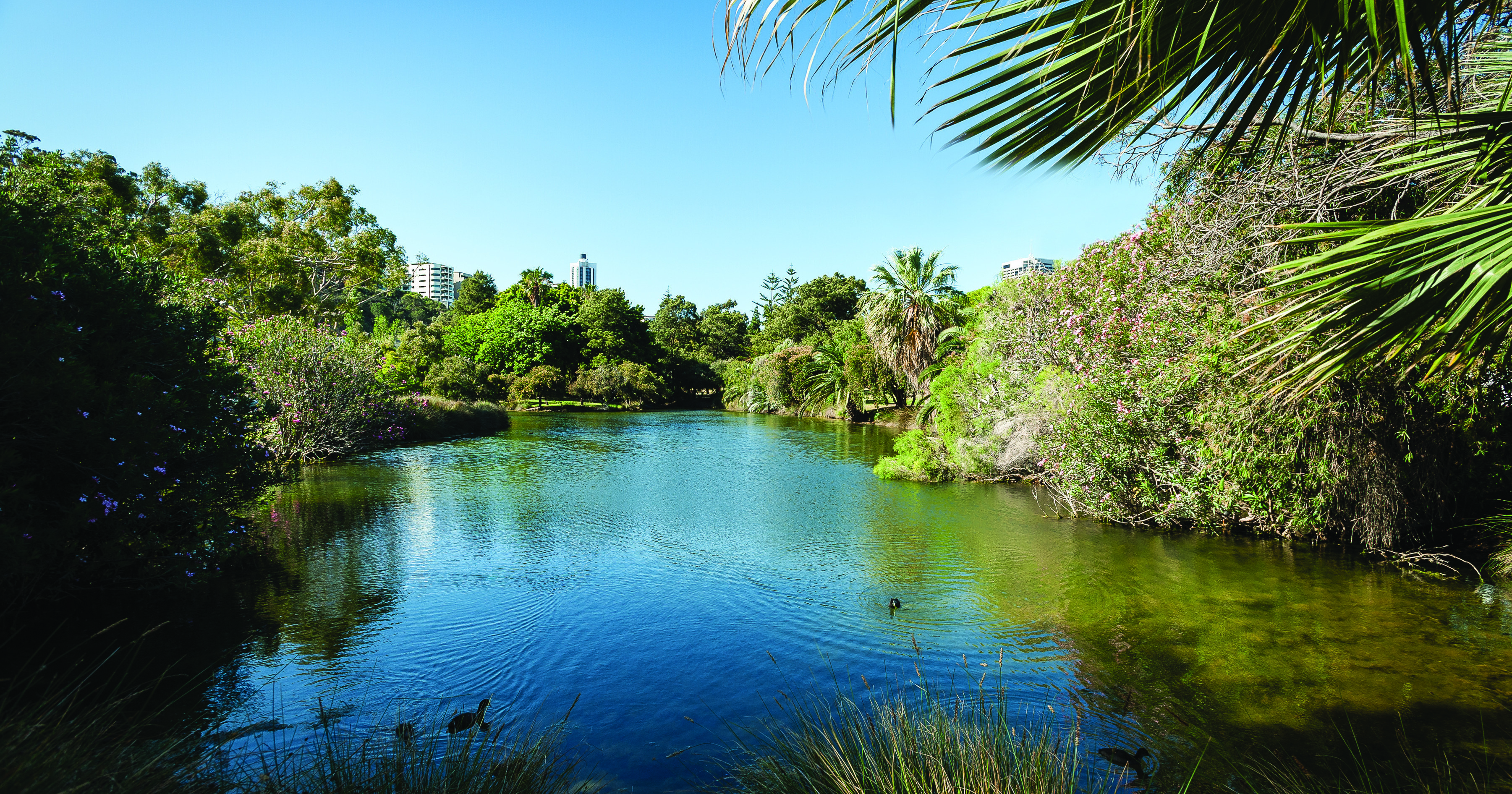 John Oldham Park - Central Perth - AUG 2013 1