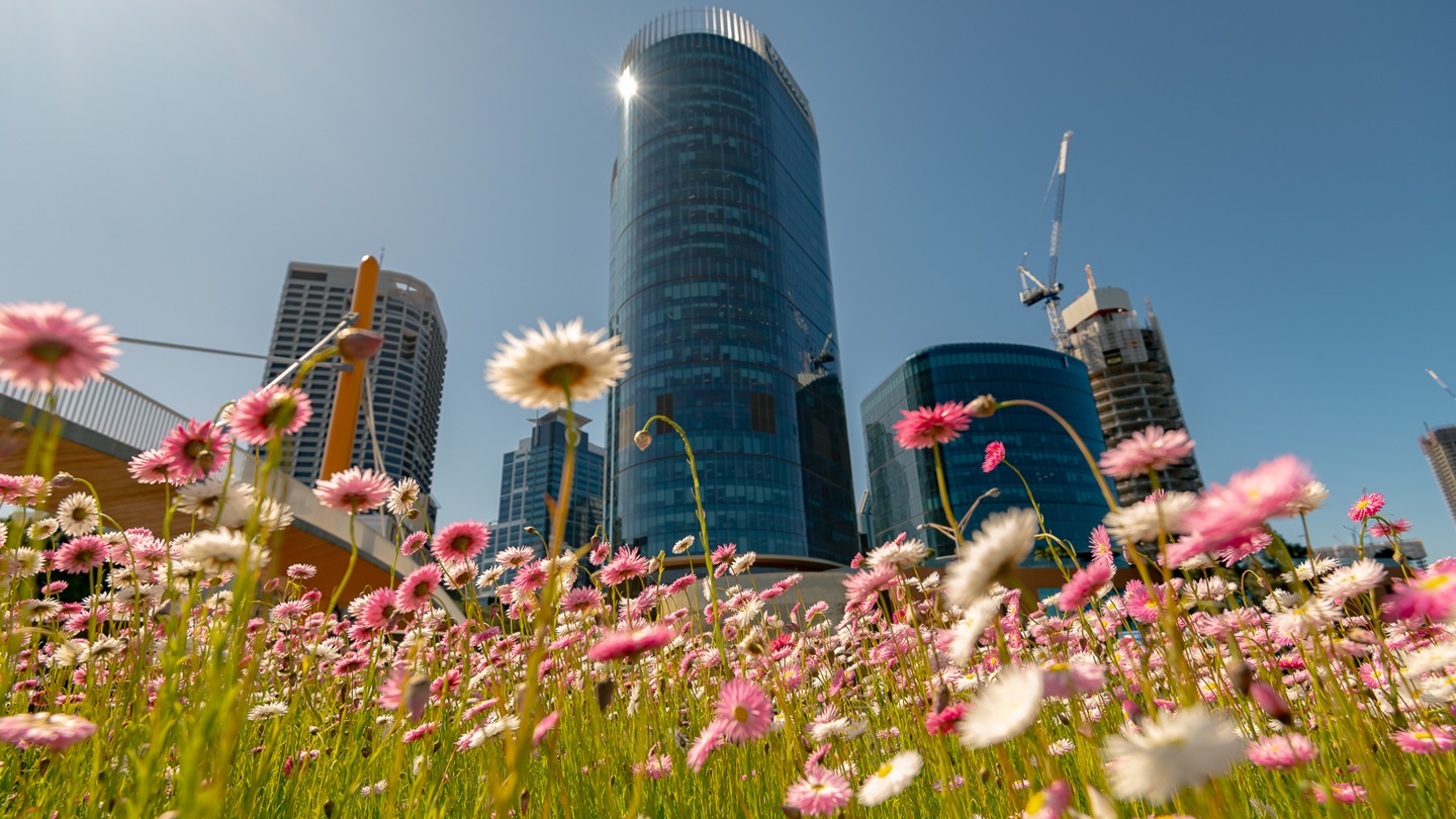 Flower bed with Perth skyline in background