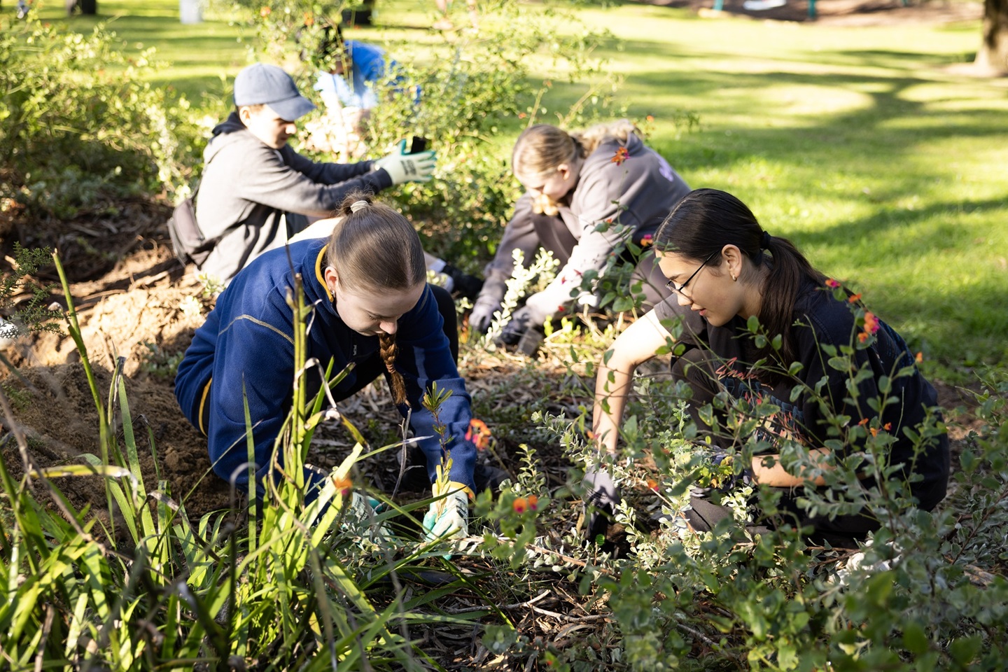 Students at a tree planting day