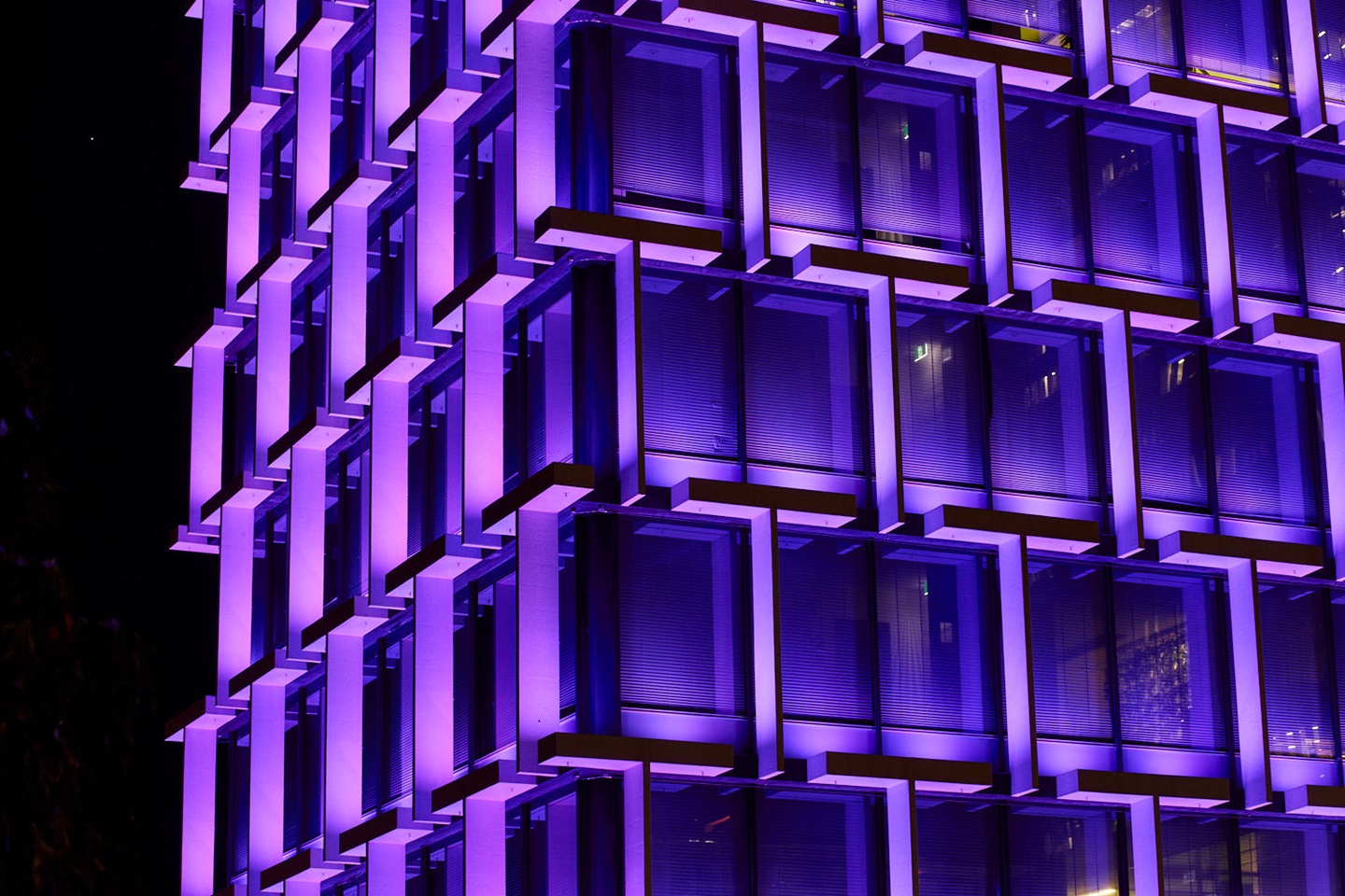 Council House Purple LEDs