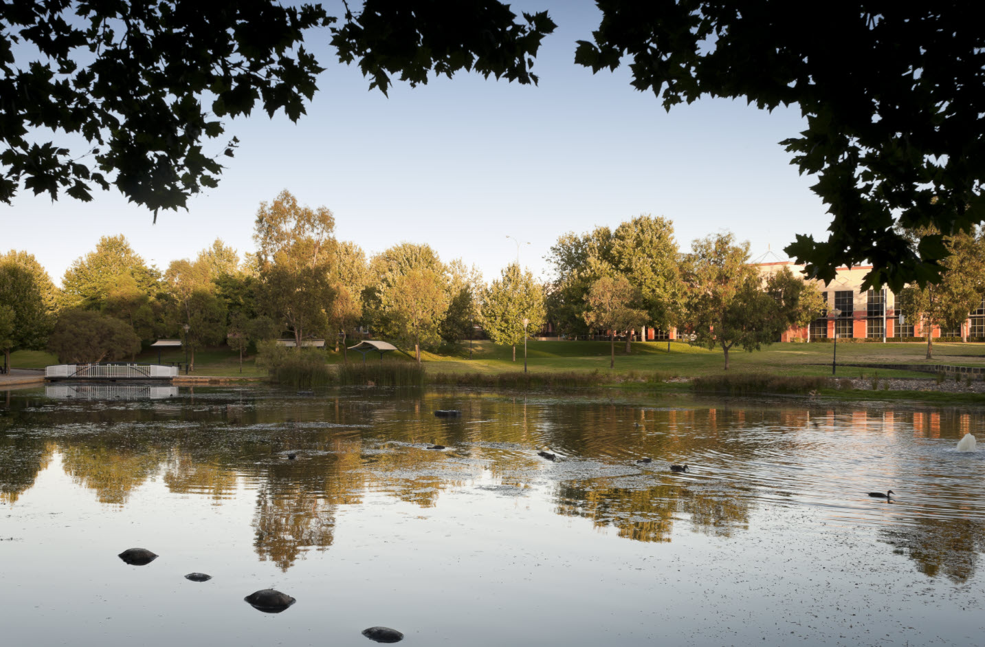 Claisebrook Cove stormwater project