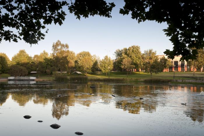 Claisebrook Cove stormwater project