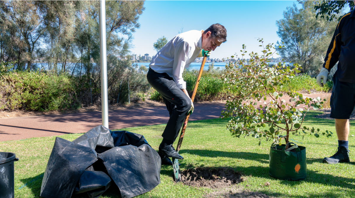 Basil Zempilas planting a tree