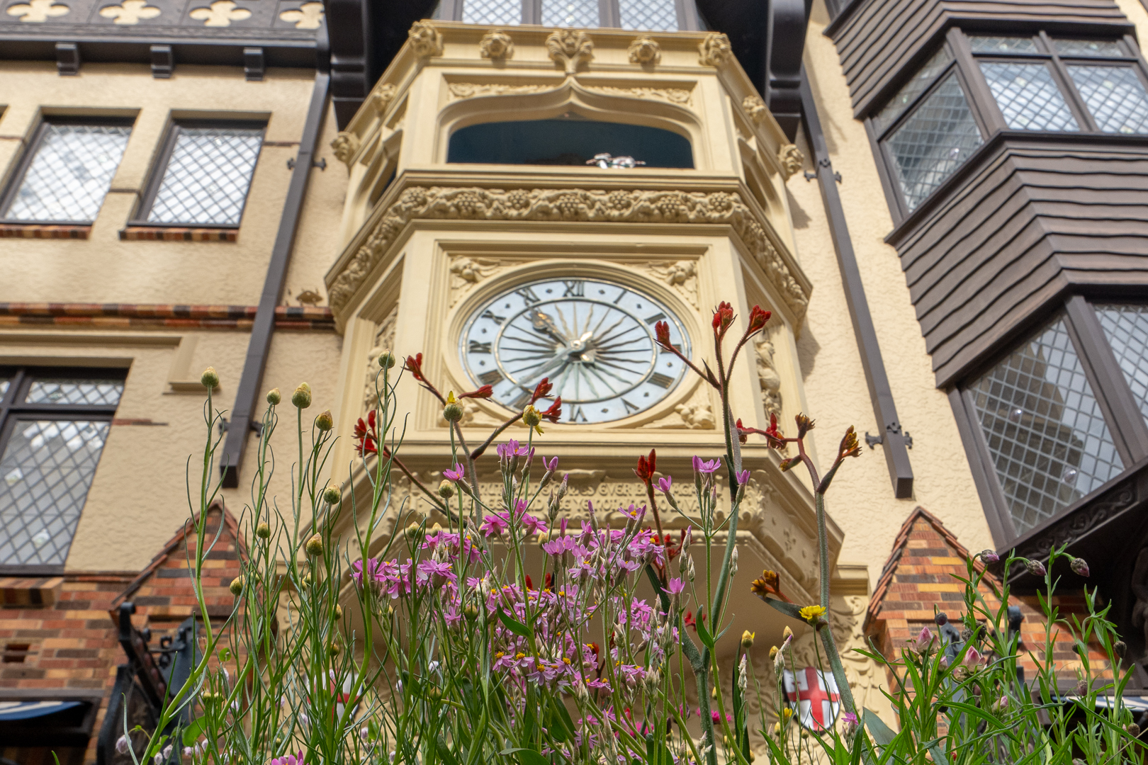 Spring plantings in the Hay Street Mall in front of London Court