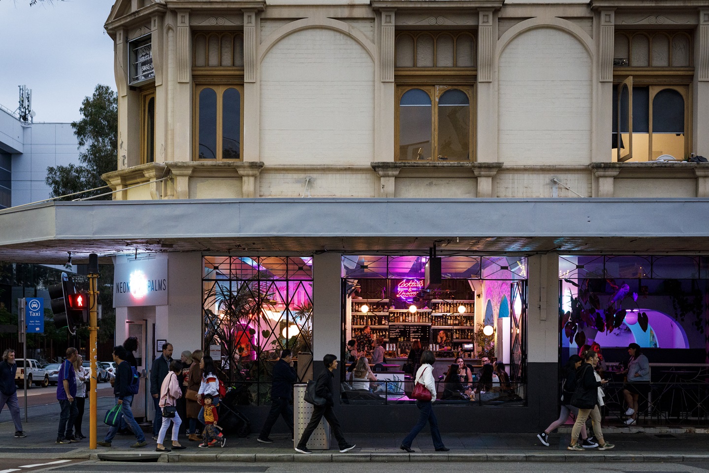 Night shot of Neon Palms on William Street Northbridge