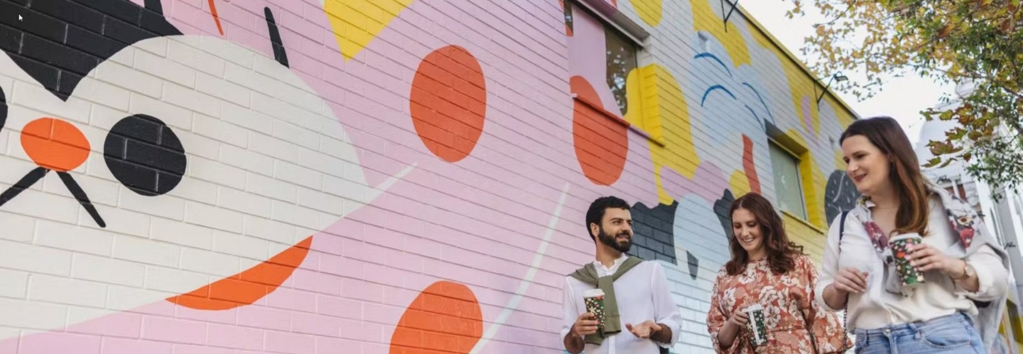 Neighbourhood Activation Survey