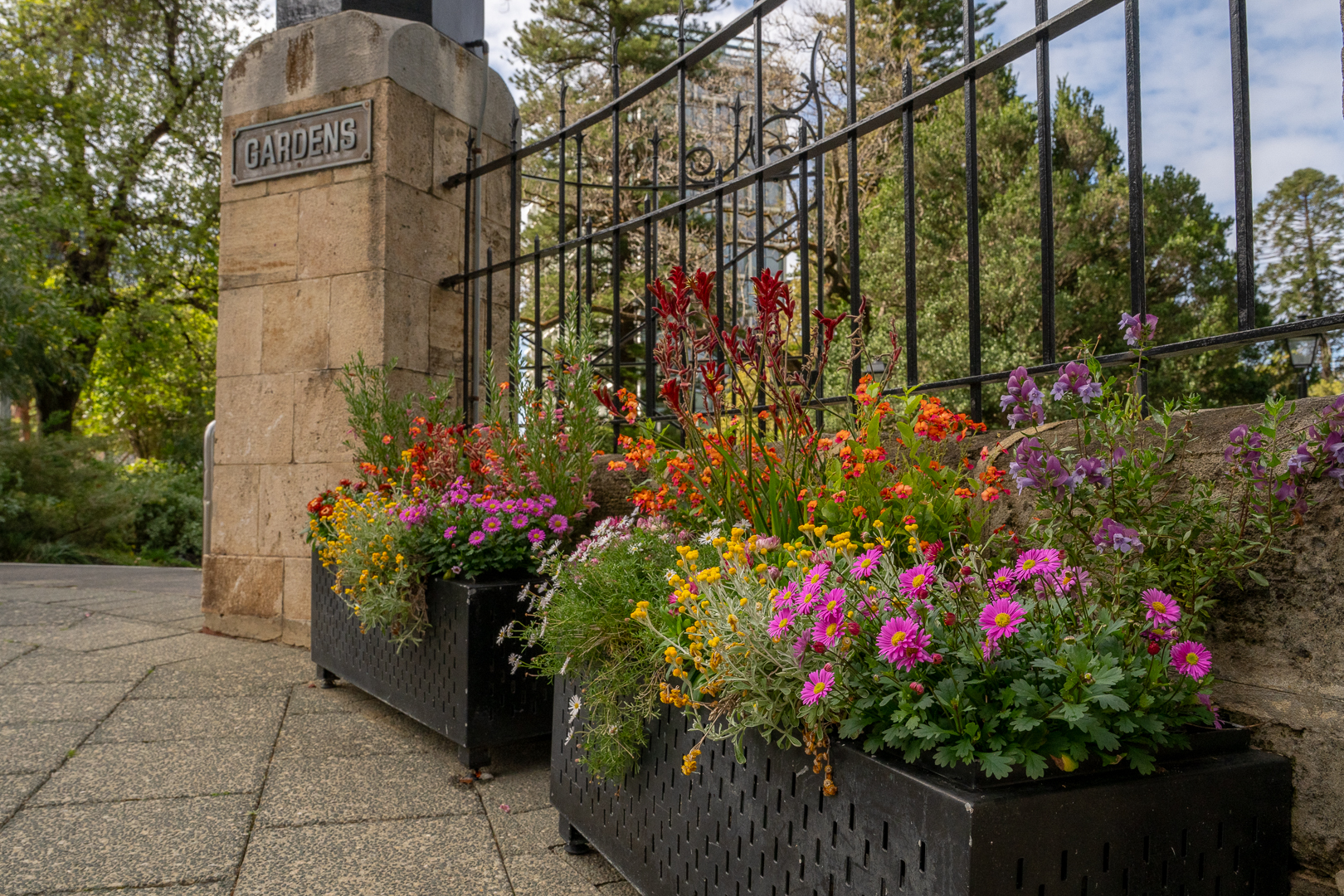 Spring plantings at Stirling Gardens