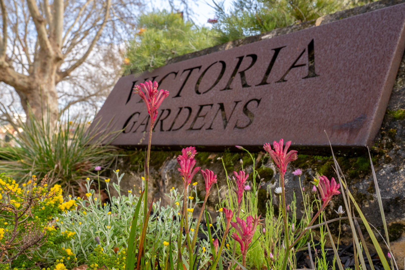 Spring plantings at Victoria Gardens