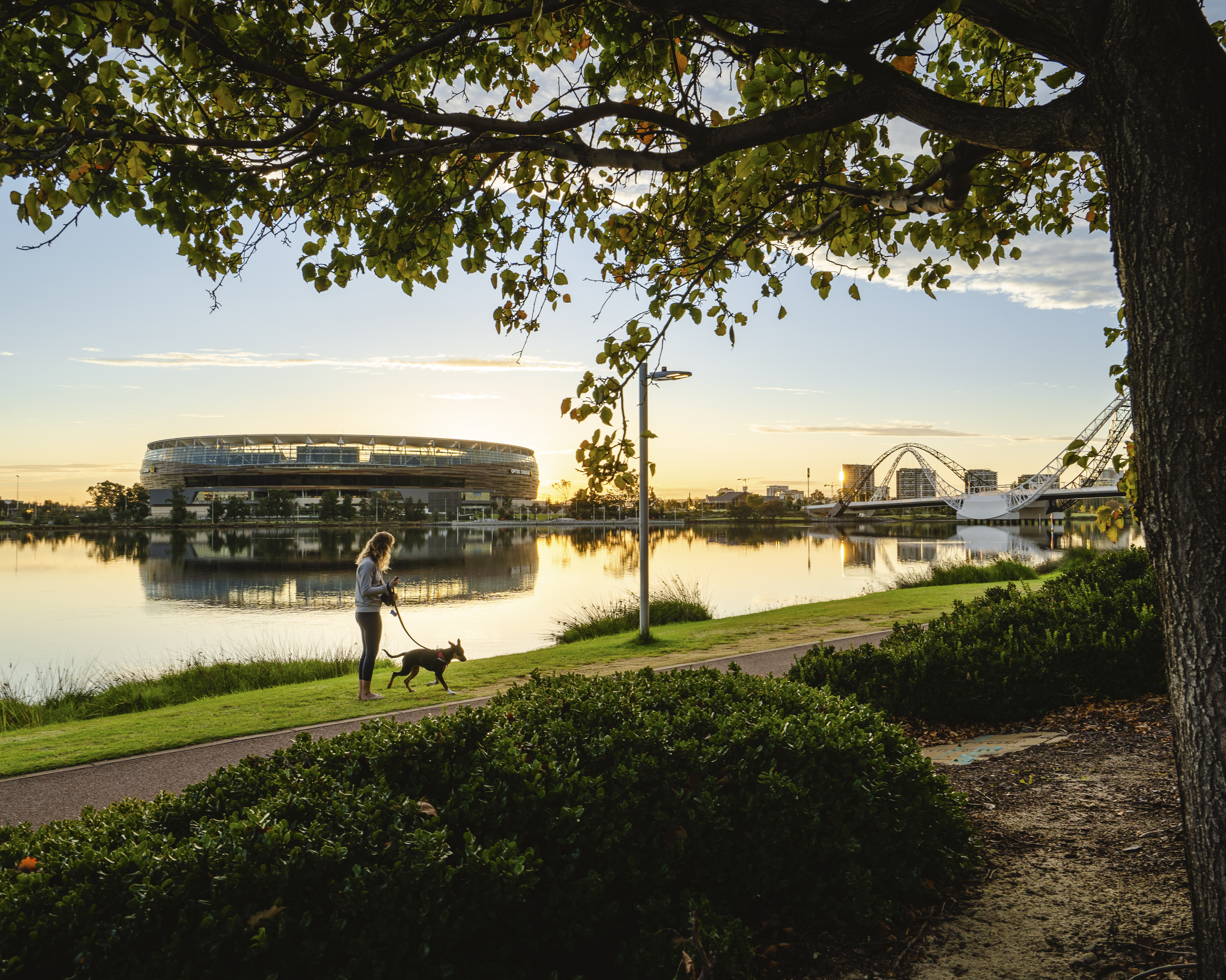 Optus Stadium in background, Arden st reserve in foreground with a woman walking her dog along the path