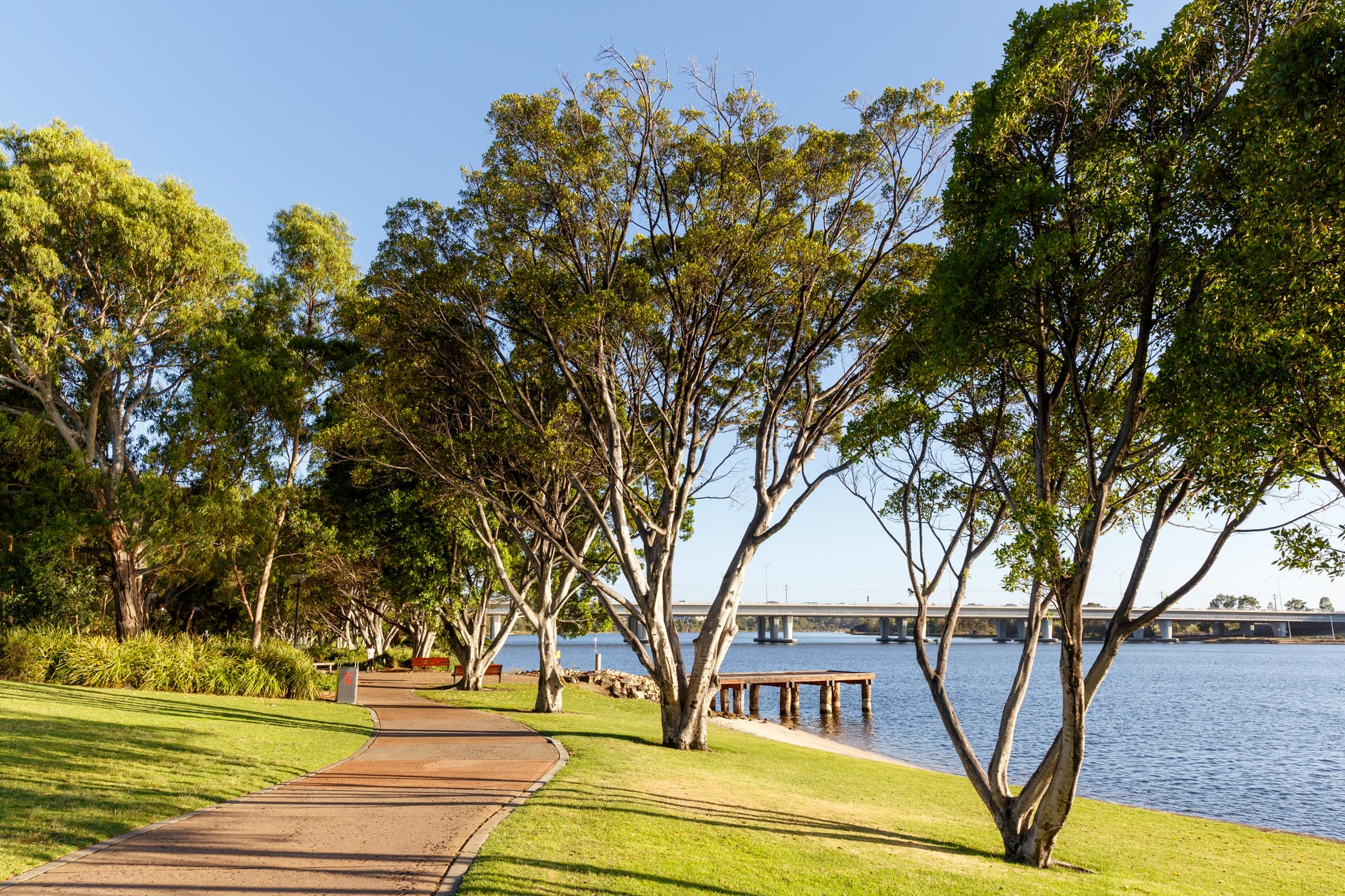 Picture of Mardalup Park footpath with trees and Swan River in background