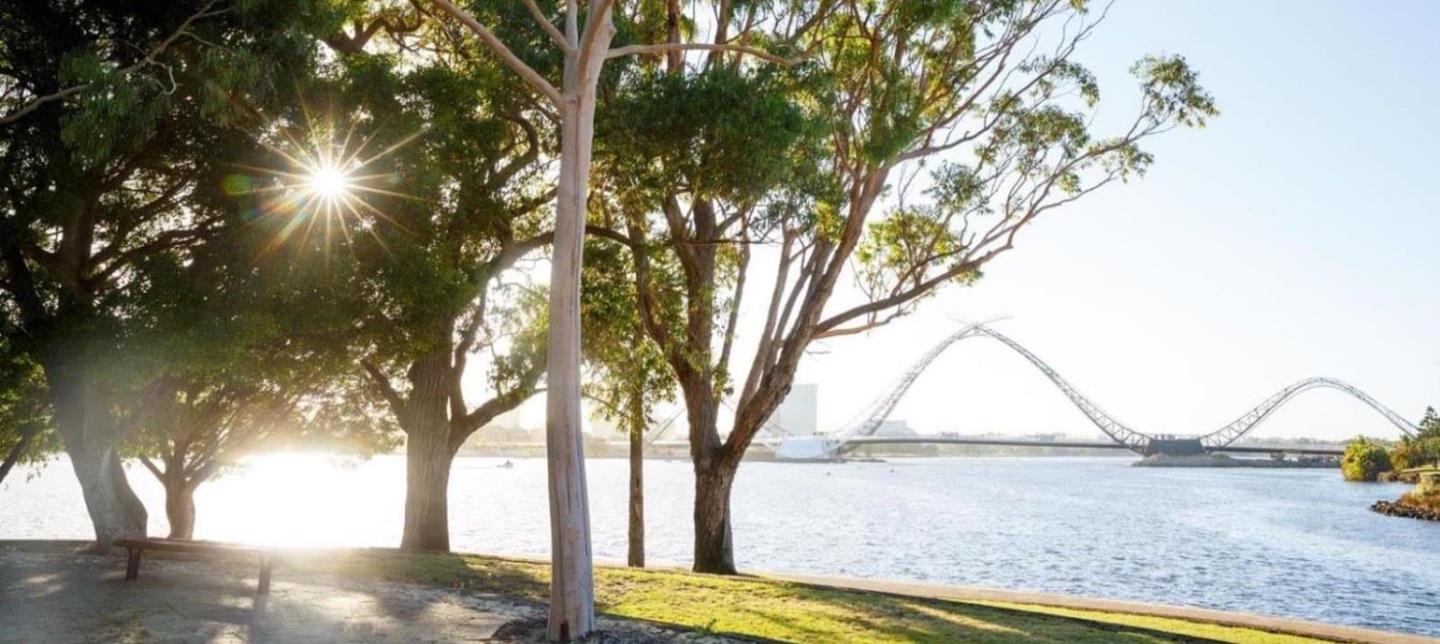Mardalup park trees with matagarup bridge in the background 