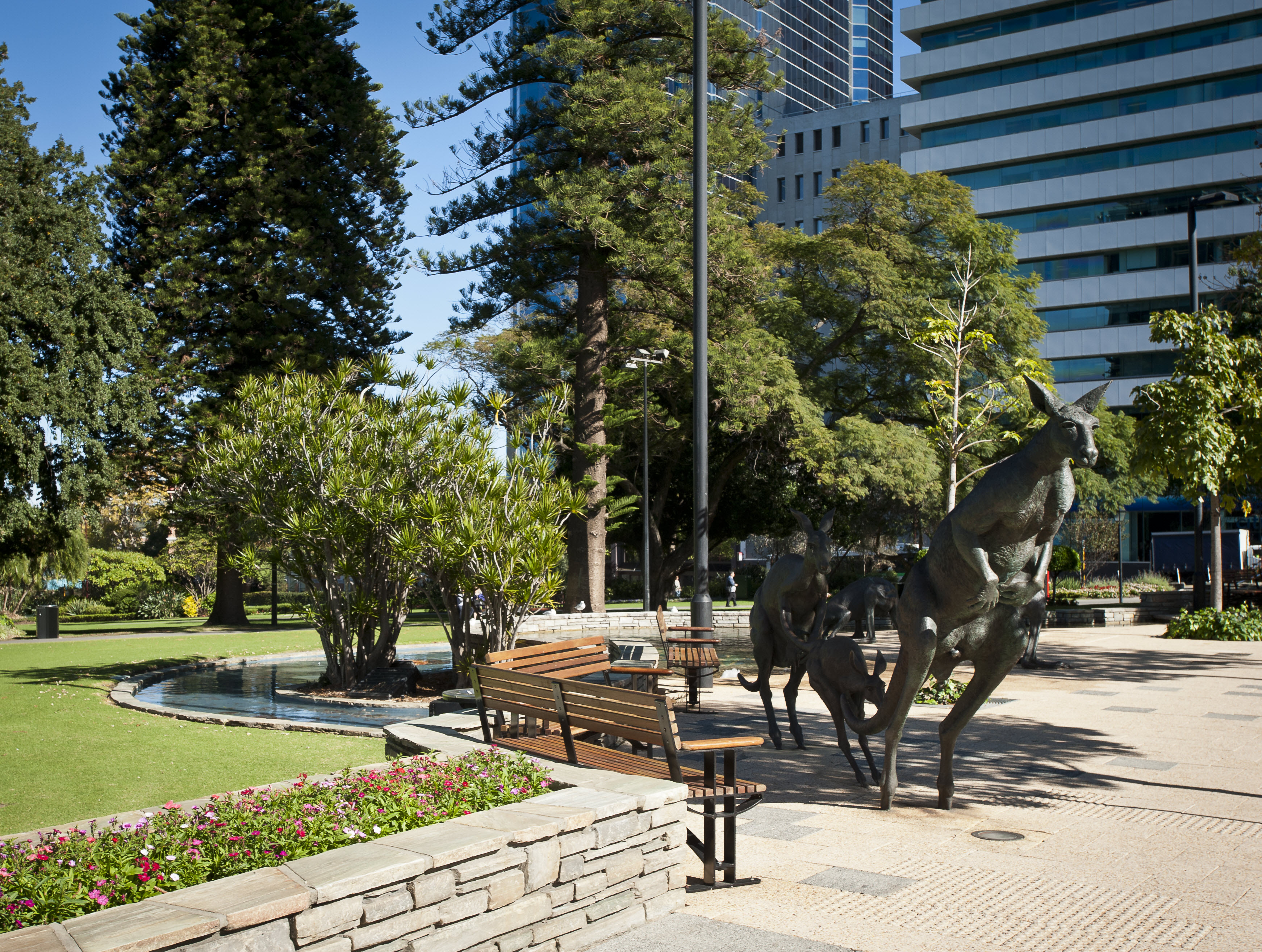 Stirling Gardens Stirling Gardens and the large kangaroos