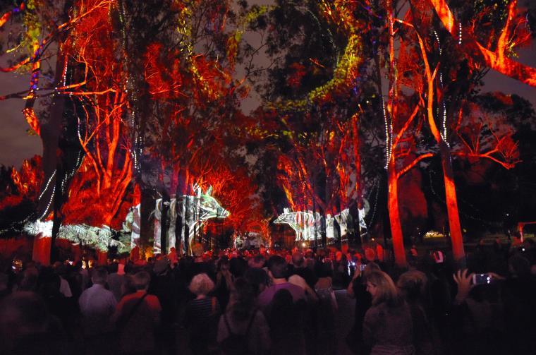 Boorna Waanginy: The Trees Speak at Kings Park as part of Perth Festival