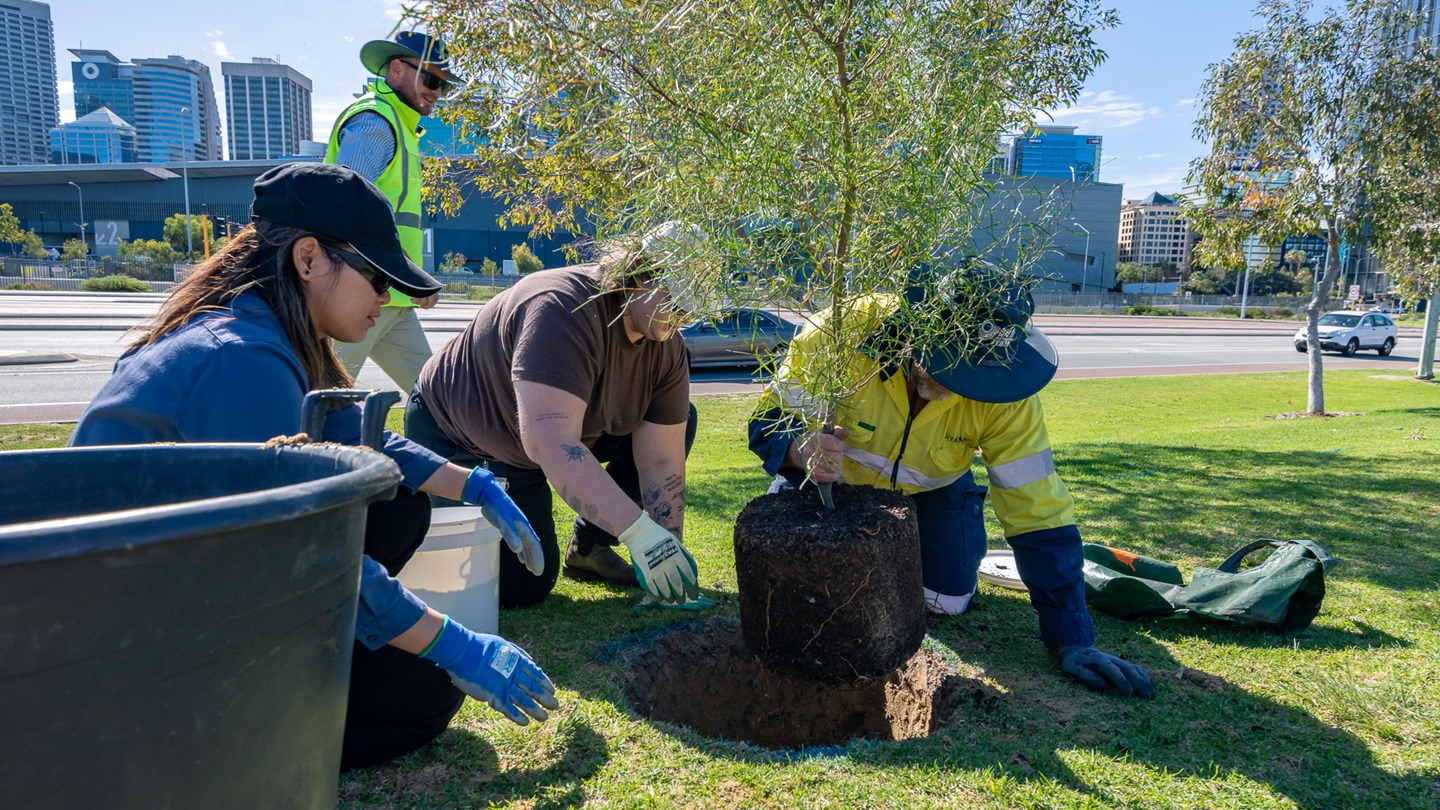 Tree Month Birdiya Drive Planting Day ScottS 308 low res for socials email web briefs