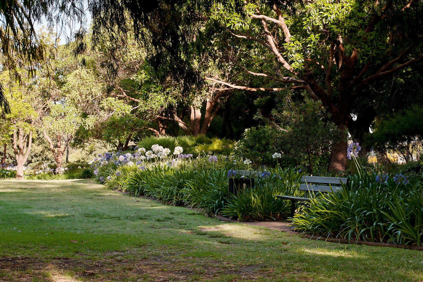 Totterdell Park