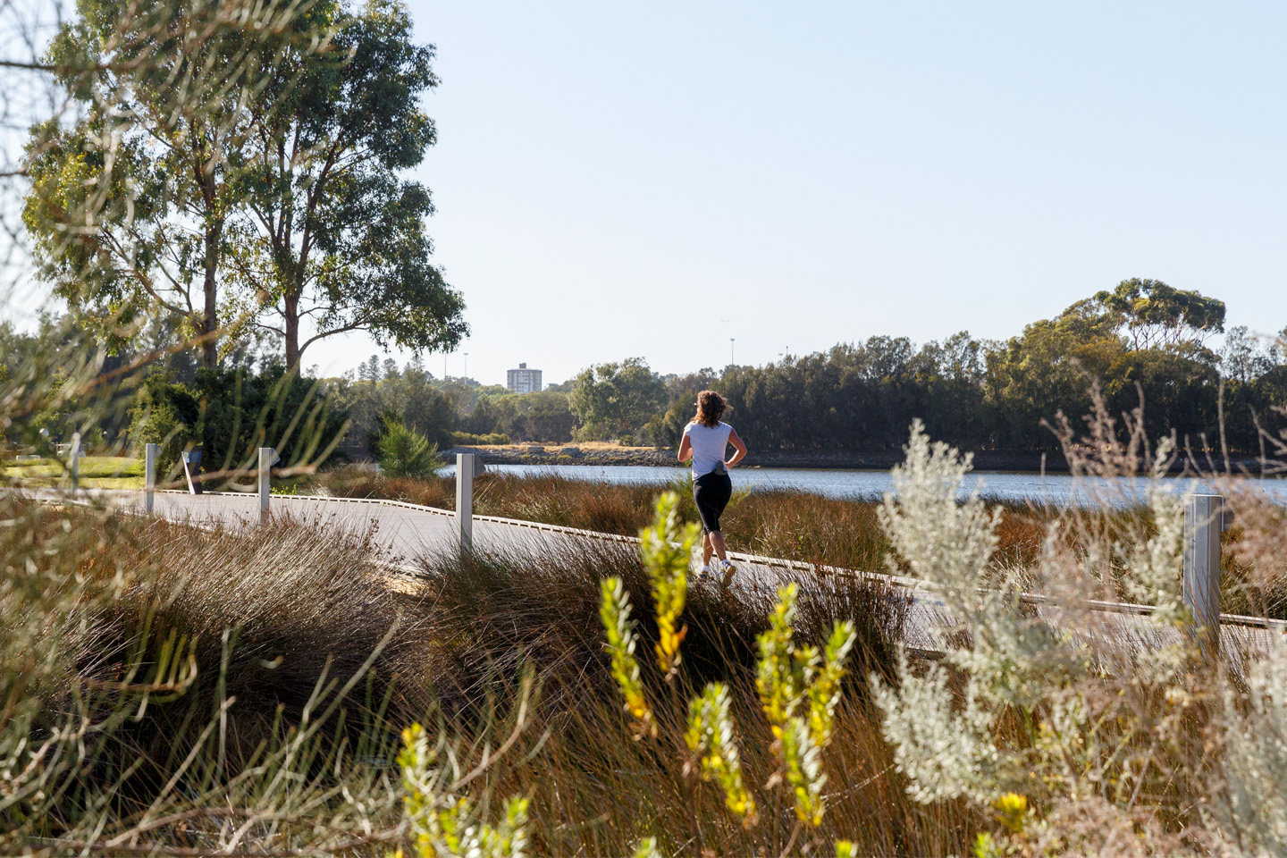 Runner in wetlands