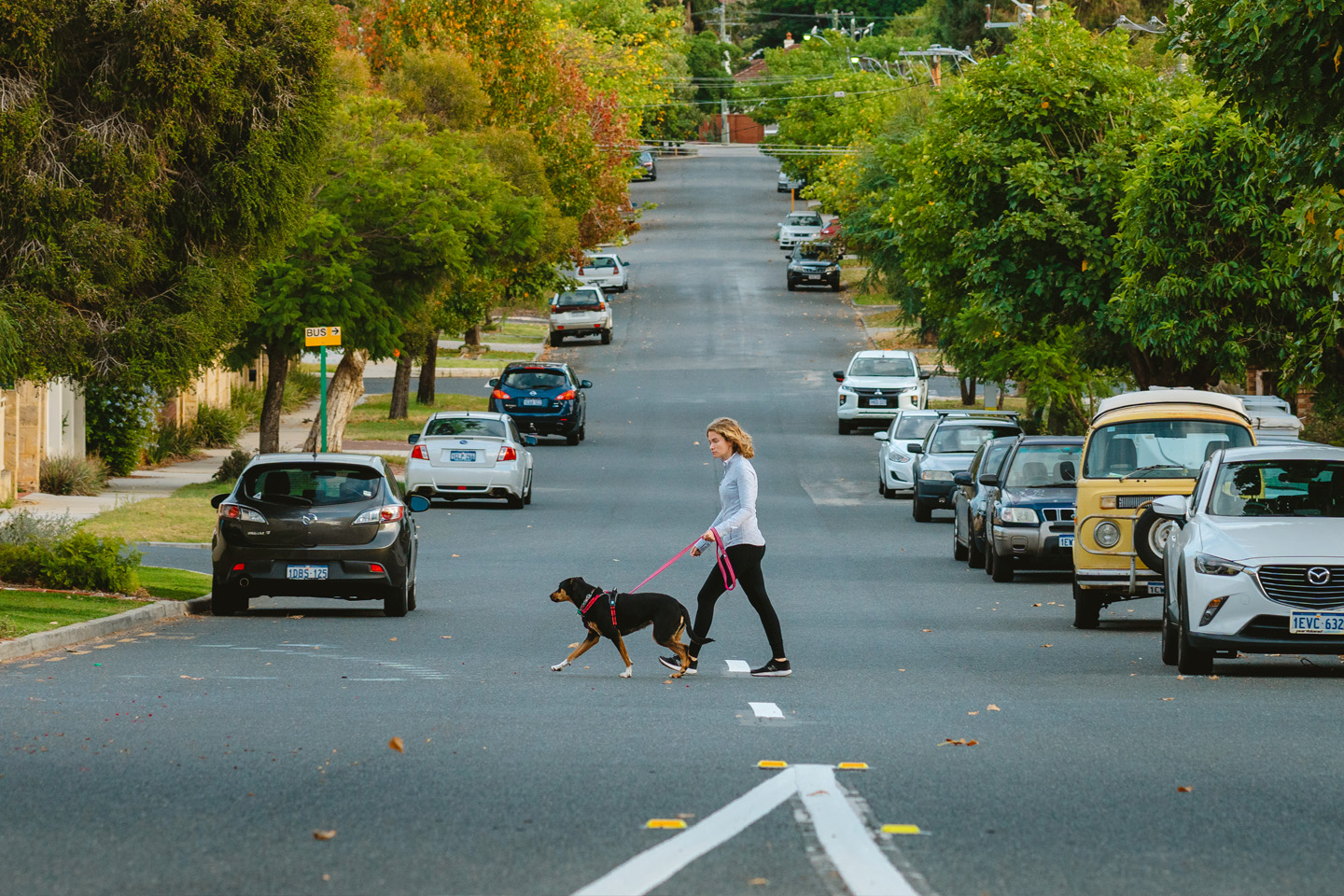 Residential street and dog walker