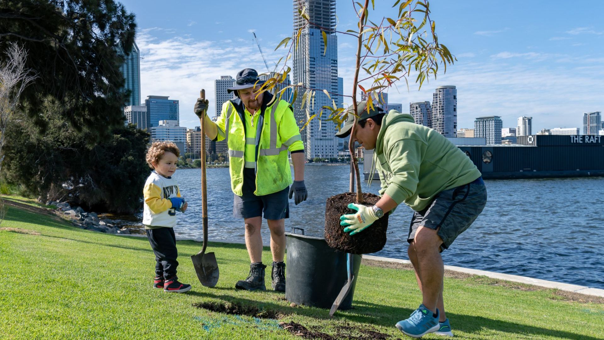 tree planting LM message