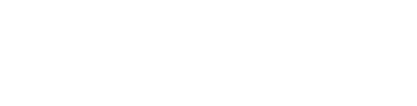 City of Perth logo