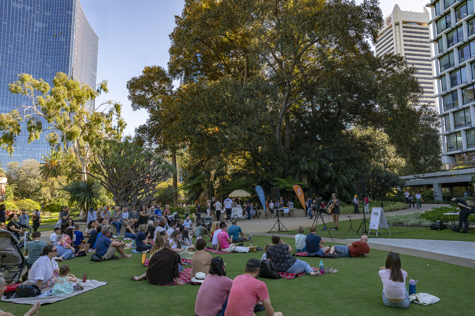 Music Under The Trees