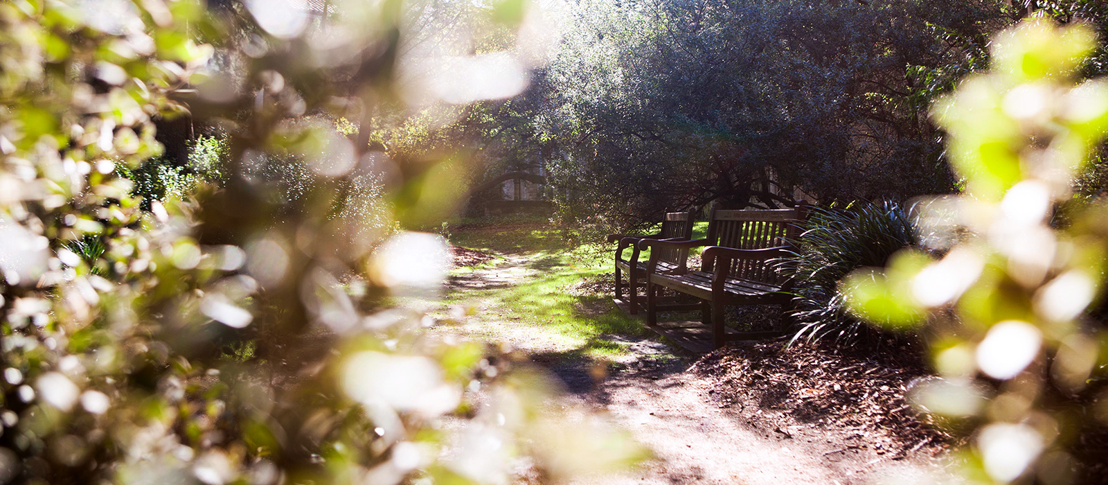 Community Park Bench