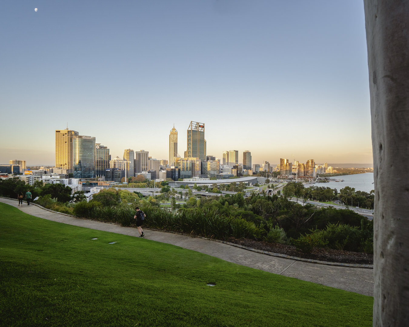 King Park from the hill