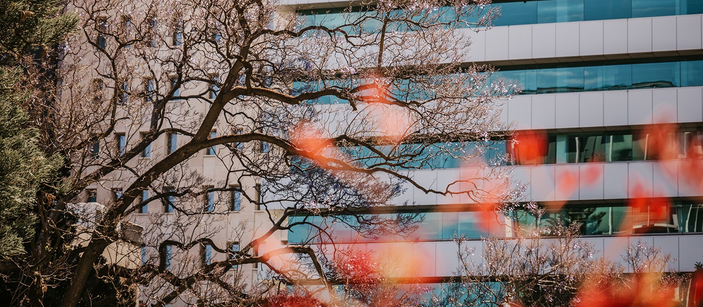 Building in Perth CBD