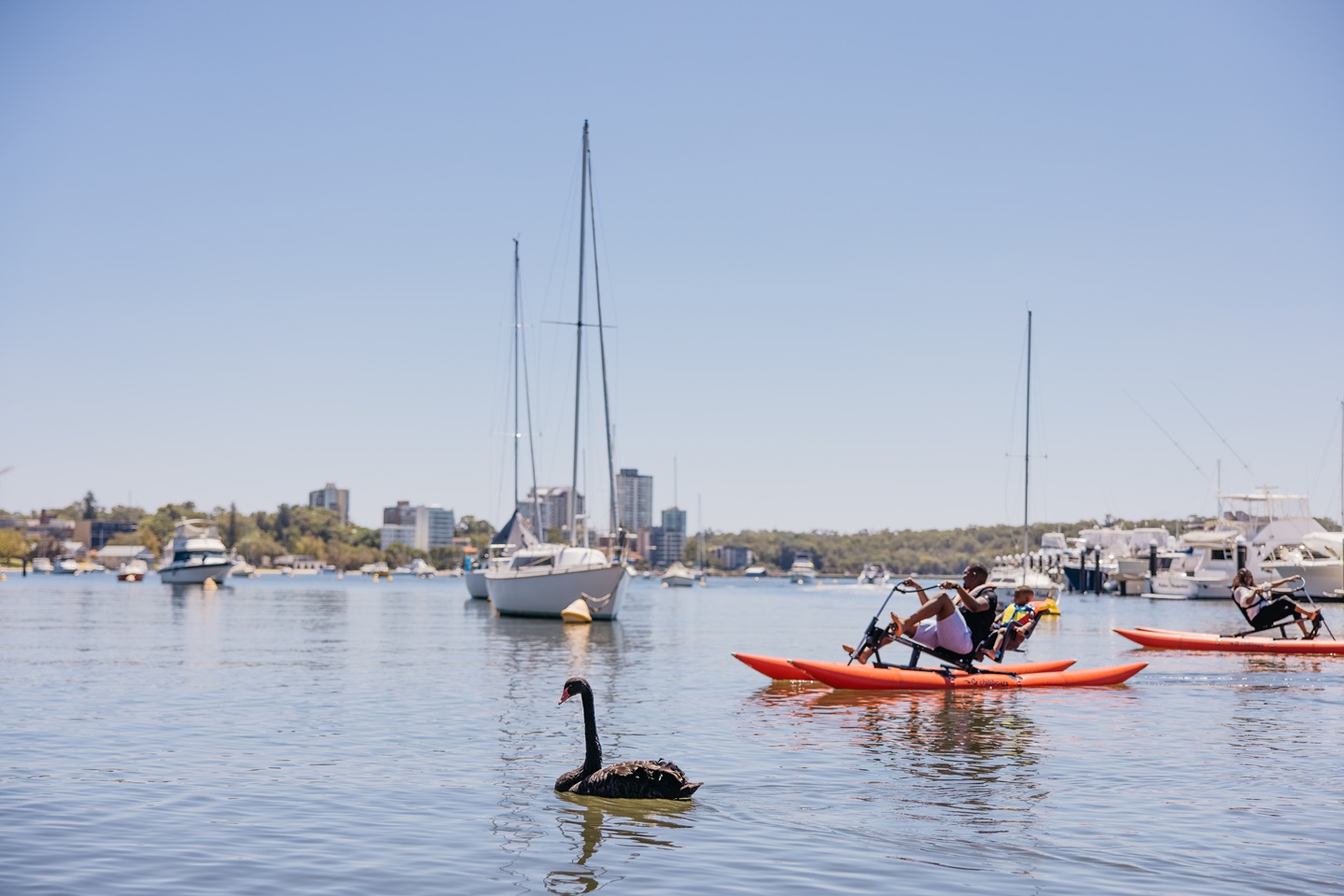 Playtime in the City