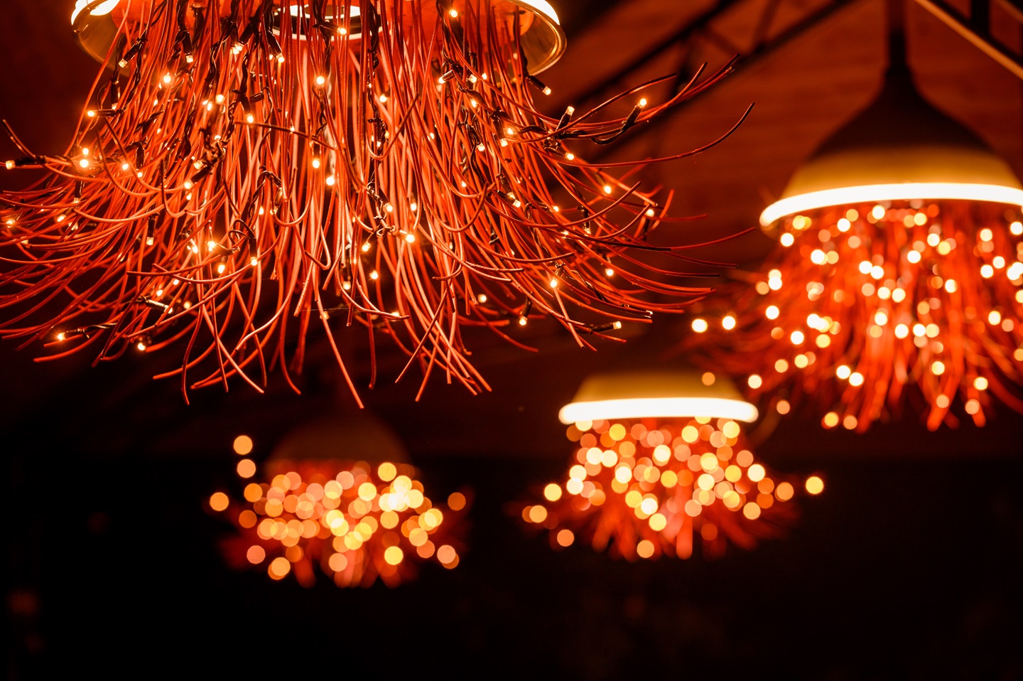 Lightscape – Kings Park – JUNE 2024 – 40