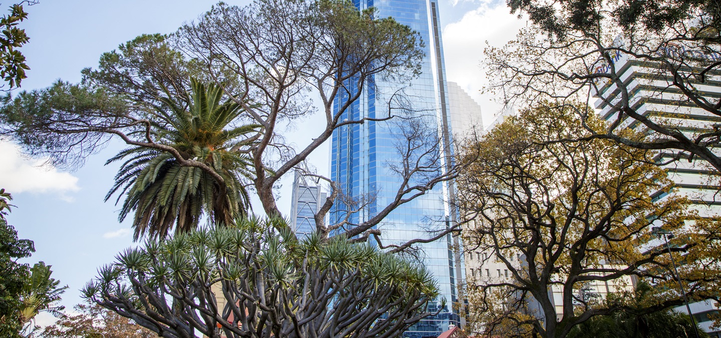 Perth City with trees v2