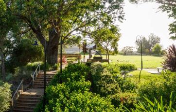 East perth trees v5